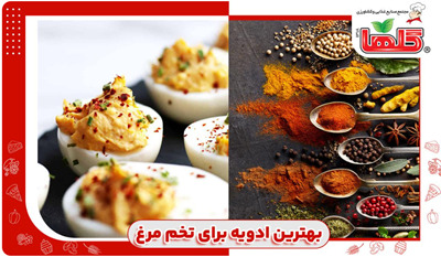 بهترین ادویه برای تخم مرغ